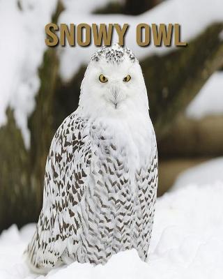 Book cover for Snowy owl