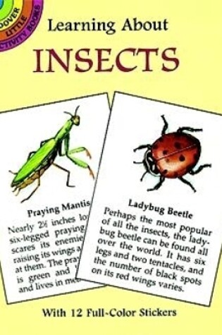 Cover of Learning About Insects