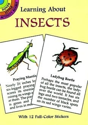 Cover of Learning About Insects