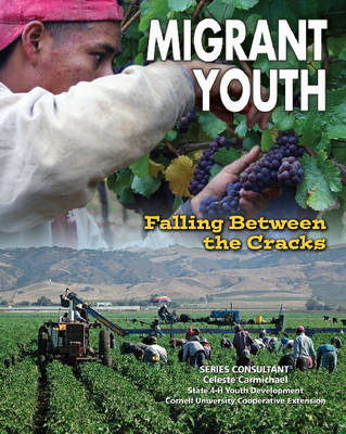 Book cover for Migrant Youth