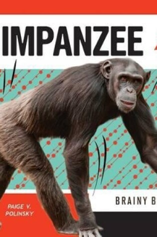 Cover of Chimpanzee: Brainy Beast