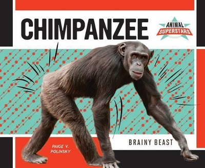 Book cover for Chimpanzee: Brainy Beast