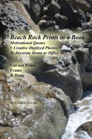 Cover of Beach Rock Prints in a Book