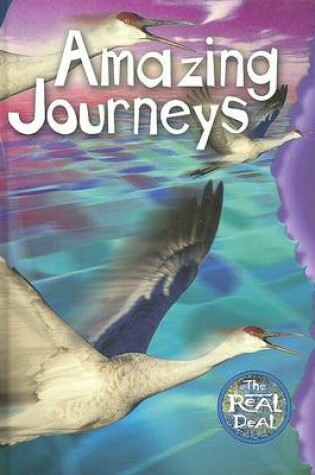 Cover of Amazing Journeys