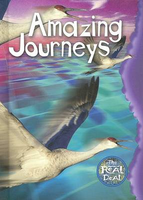 Cover of Amazing Journeys