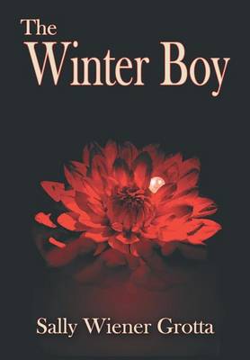 Book cover for The Winter Boy