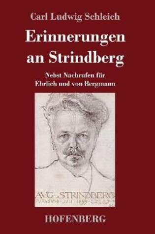 Cover of Erinnerungen an Strindberg