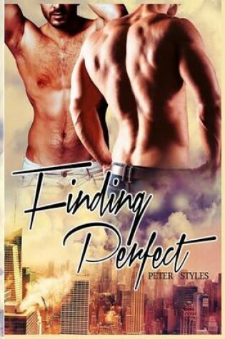 Cover of Finding Perfect