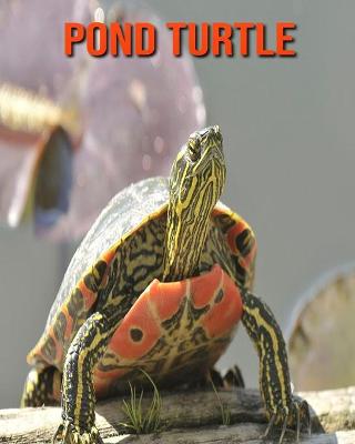 Book cover for Pond Turtle