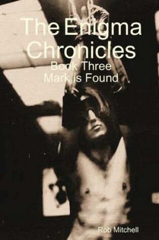 Cover of The Enigma Chronicles : Book Three: Mark Is Found