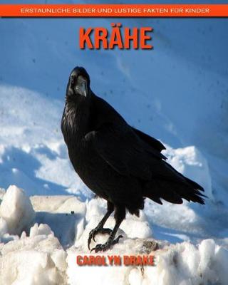 Book cover for Krähe