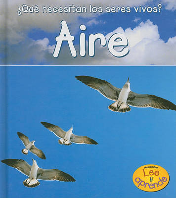 Book cover for Aire