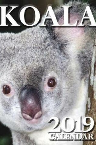 Cover of Koala 2019 Calendar