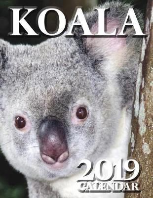 Book cover for Koala 2019 Calendar