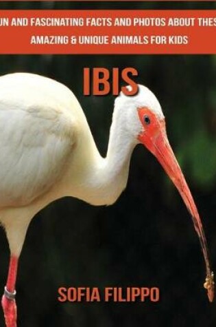 Cover of Ibis