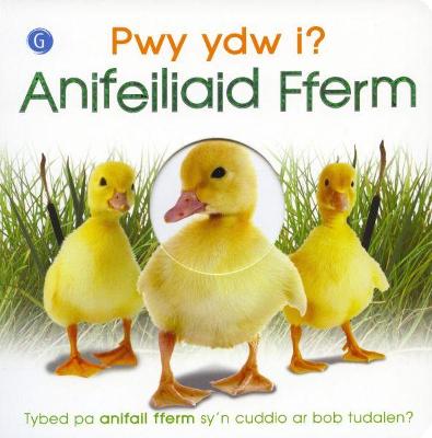 Book cover for Pwy Ydw I? Anifeiliaid Fferm
