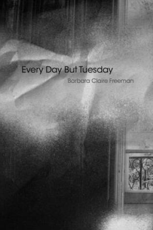 Cover of Every Day but Tuesday