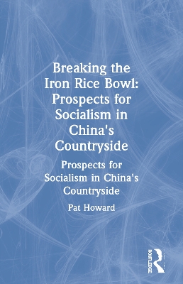 Book cover for Breaking the Iron Rice Bowl