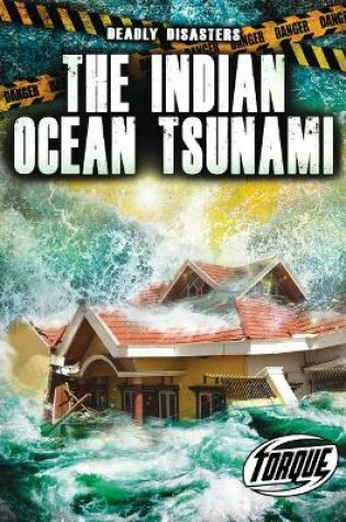 Cover of The Indian Ocean Tsunami