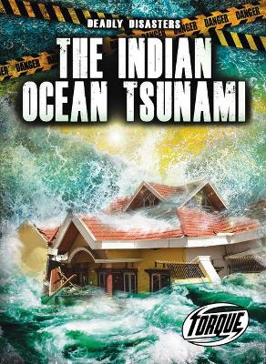 Book cover for The Indian Ocean Tsunami