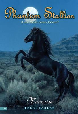 Book cover for Phantom Stallion #14: Moonrise