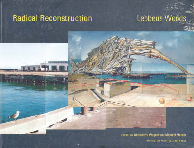 Book cover for Radical Reconstruction