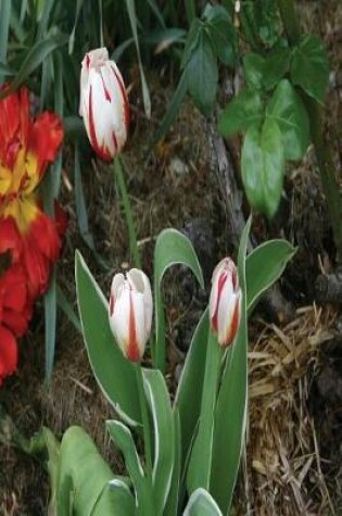 Cover of Floral Journal Tulips Garden