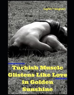 Book cover for Turkish Muscle Glistens Like Love in Golden Sunshine