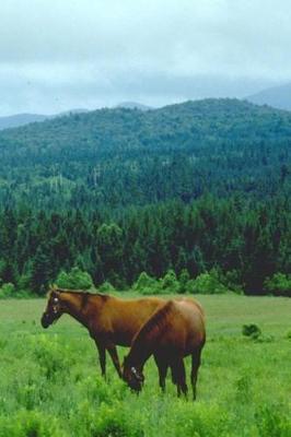 Book cover for Journal Grazing Horses Mountain Backdrop Equine