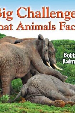 Cover of Big Challenges That Animals Face