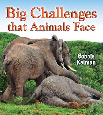 Book cover for Big Challenges That Animals Face