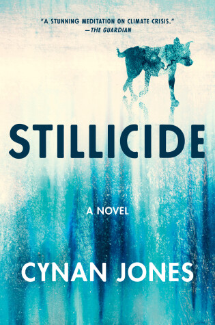 Cover of Stillicide
