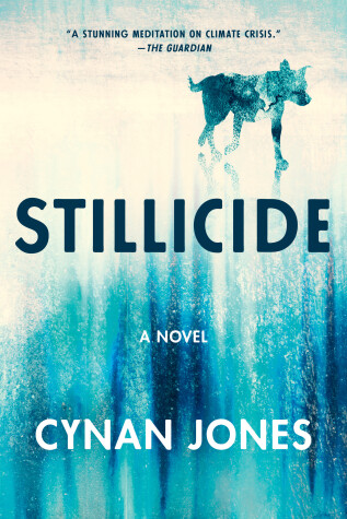 Book cover for Stillicide