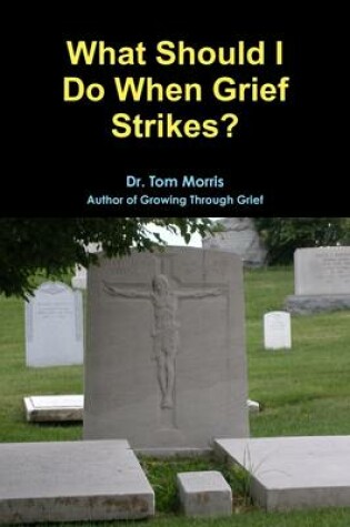 Cover of What Should I Do When Grief Strikes?