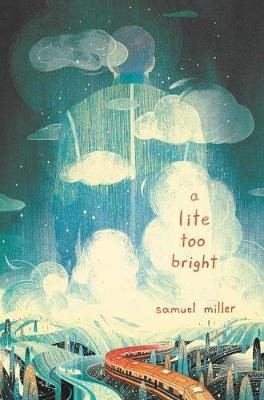 Book cover for A Lite Too Bright
