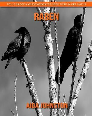 Book cover for Raben