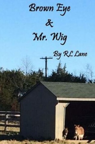 Cover of Brown Eye & Mr. Wig