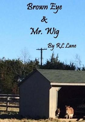 Book cover for Brown Eye & Mr. Wig