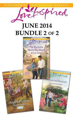 Book cover for Love Inspired June 2014 - Bundle 2 of 2