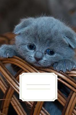 Cover of Sad Kitten Diary