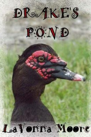 Cover of Drake's Pond