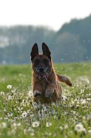 Cover of Belgian Shepherd Dog Malinois Running Through a Dandelion Field Journal