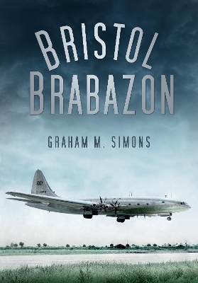 Book cover for Bristol Brabazon