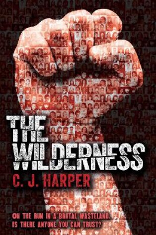 Cover of The Wilderness