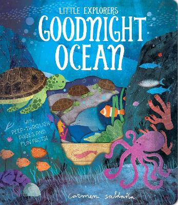 Cover of Goodnight Ocean