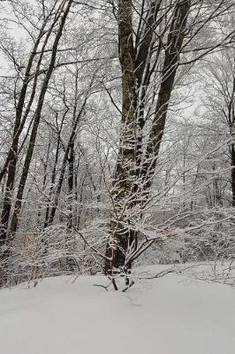 Cover of Snow Covered Branches Scenic Winter Photo Journal