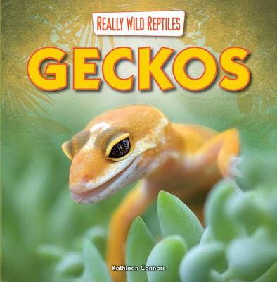 Book cover for Geckos