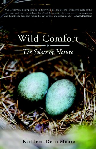 Book cover for Wild Comfort