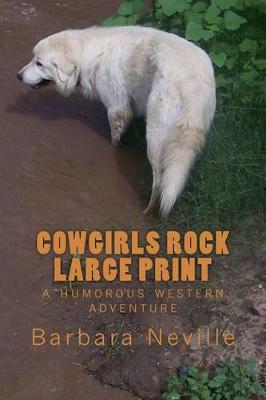 Book cover for Cowgirls Rock Large Print