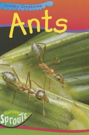 Cover of Ants